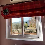 Cozy 펜션 *